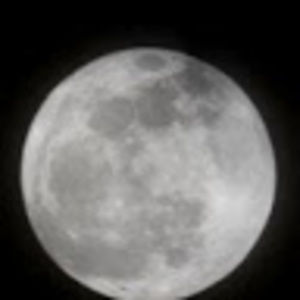 Meet your Posher, Kirk